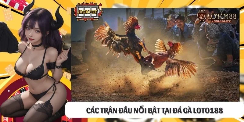 Các trận đấu nổi bật tại đá gà LOTO188