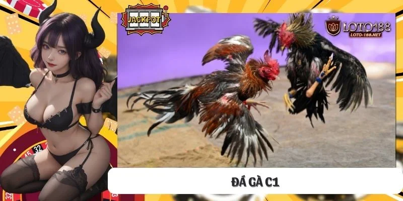 Đá gà C1
