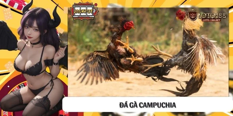Đá gà Campuchia