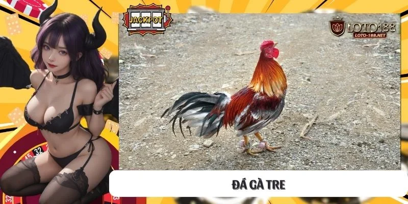 Đá gà tre